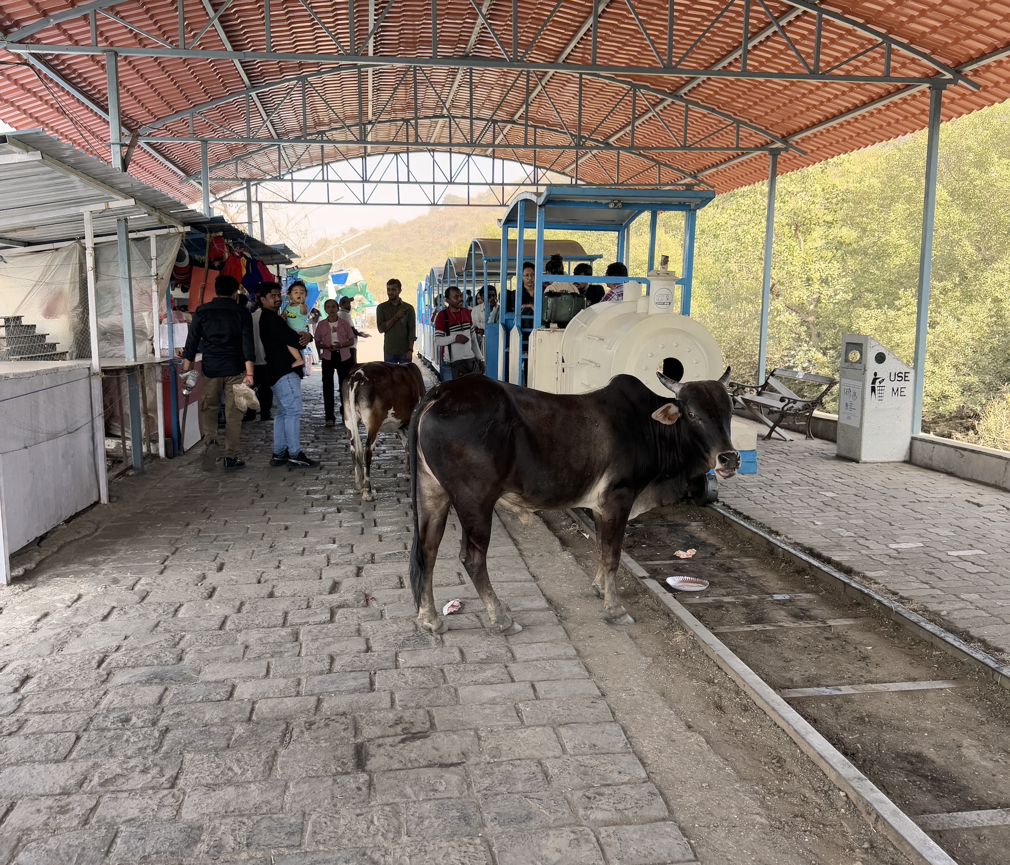 The toy train, which can also be blocked by cows